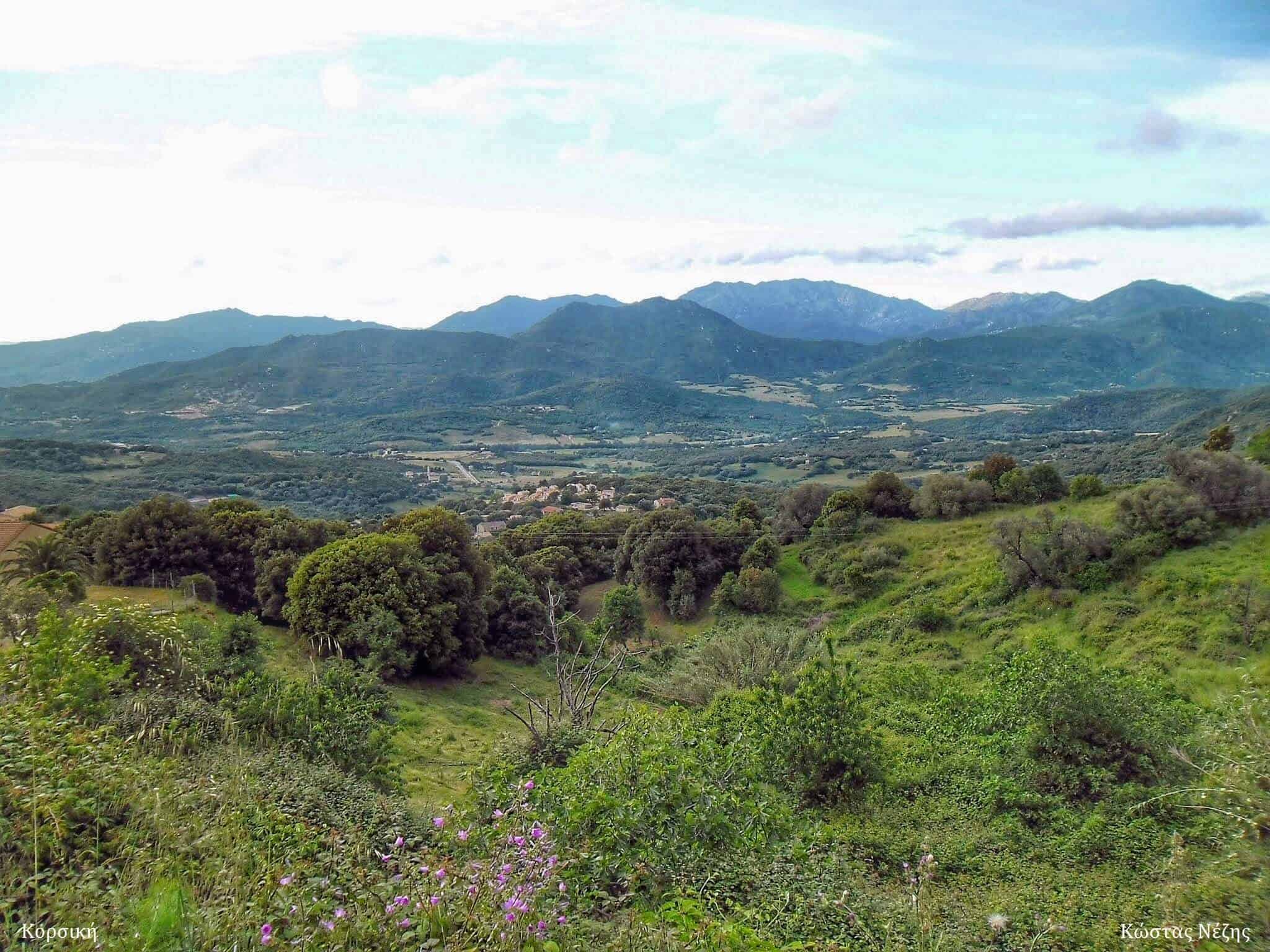Κορσική